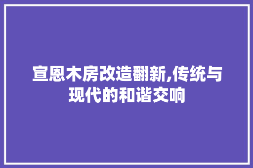 宣恩木房改造翻新,传统与现代的和谐交响