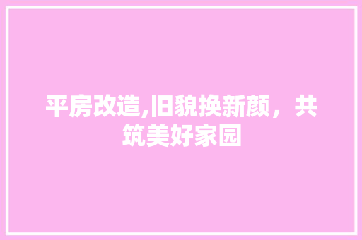 平房改造,旧貌换新颜，共筑美好家园