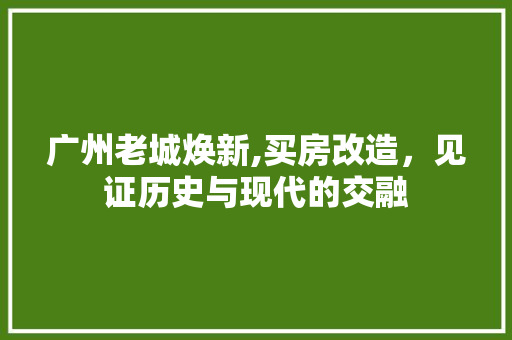 广州老城焕新,买房改造，见证历史与现代的交融 户内维修