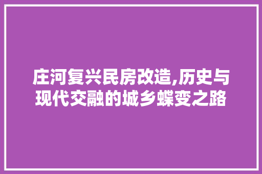庄河复兴民房改造,历史与现代交融的城乡蝶变之路