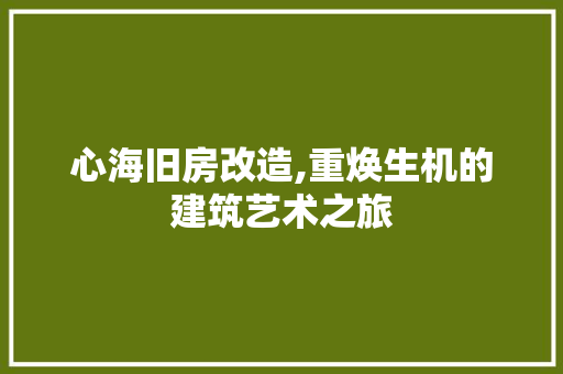 心海旧房改造,重焕生机的建筑艺术之旅