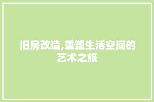 旧房改造,重塑生活空间的艺术之旅