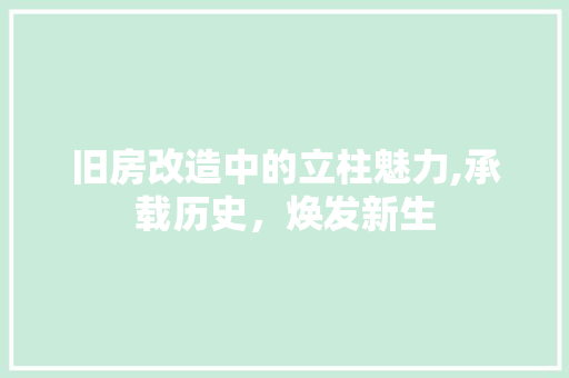 旧房改造中的立柱魅力,承载历史，焕发新生