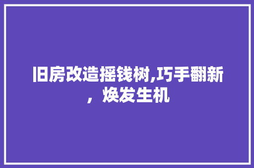 旧房改造摇钱树,巧手翻新，焕发生机
