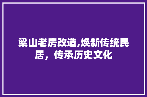 梁山老房改造,焕新传统民居，传承历史文化
