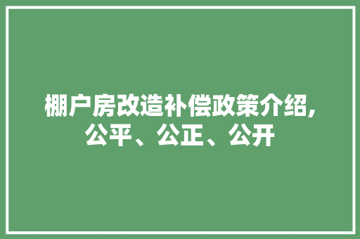 棚户房改造补偿政策介绍,公平、公正、公开