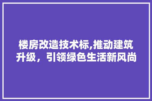 楼房改造技术标,推动建筑升级，引领绿色生活新风尚