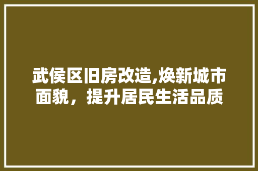 武侯区旧房改造,焕新城市面貌，提升居民生活品质