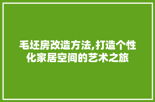 毛坯房改造方法,打造个性化家居空间的艺术之旅