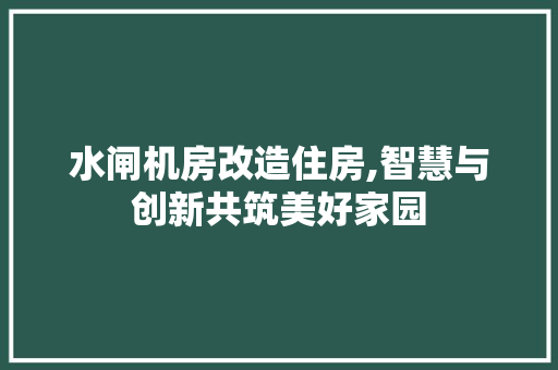 水闸机房改造住房,智慧与创新共筑美好家园