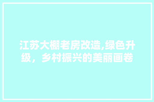 江苏大棚老房改造,绿色升级，乡村振兴的美丽画卷