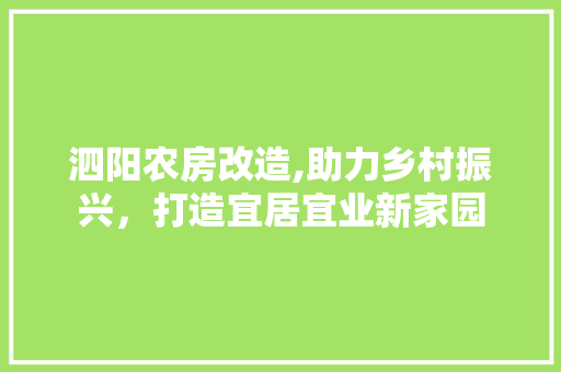 泗阳农房改造,助力乡村振兴，打造宜居宜业新家园