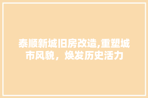 泰顺新城旧房改造,重塑城市风貌，焕发历史活力
