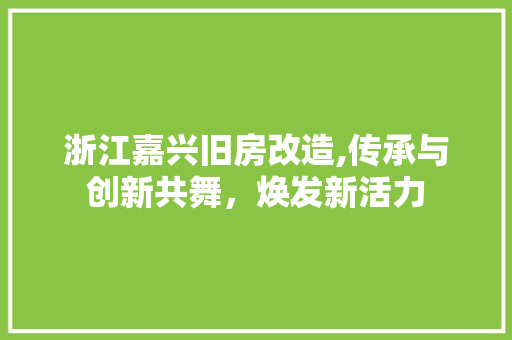 浙江嘉兴旧房改造,传承与创新共舞，焕发新活力