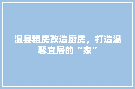 温县租房改造厨房，打造温馨宜居的“家”