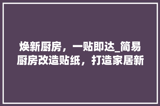 焕新厨房，一贴即达_简易厨房改造贴纸，打造家居新风尚