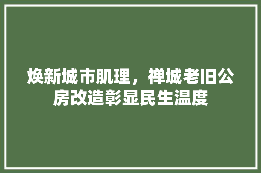 焕新城市肌理，禅城老旧公房改造彰显民生温度