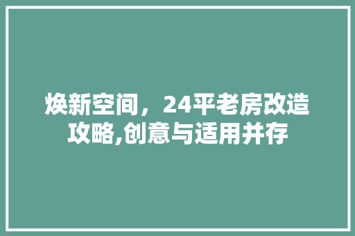 焕新空间，24平老房改造攻略,创意与适用并存