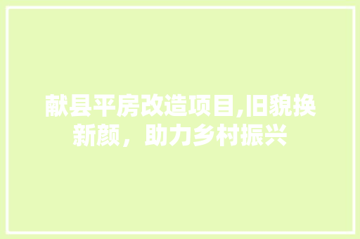 献县平房改造项目,旧貌换新颜，助力乡村振兴