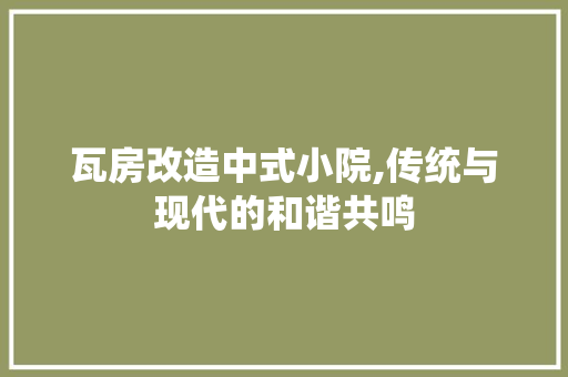 瓦房改造中式小院,传统与现代的和谐共鸣