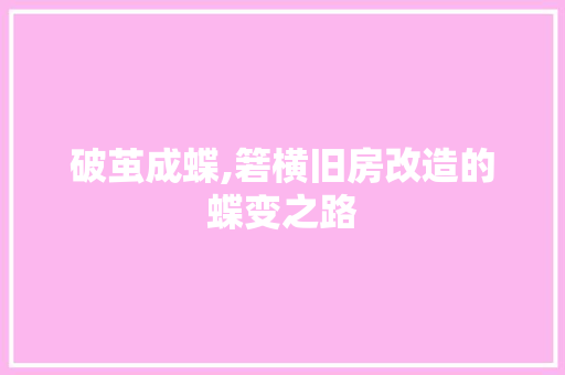 破茧成蝶,箬横旧房改造的蝶变之路