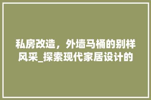 私房改造，外墙马桶的别样风采_探索现代家居设计的创新与智慧