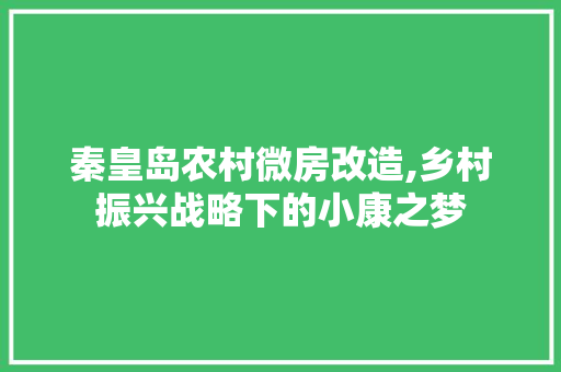 秦皇岛农村微房改造,乡村振兴战略下的小康之梦
