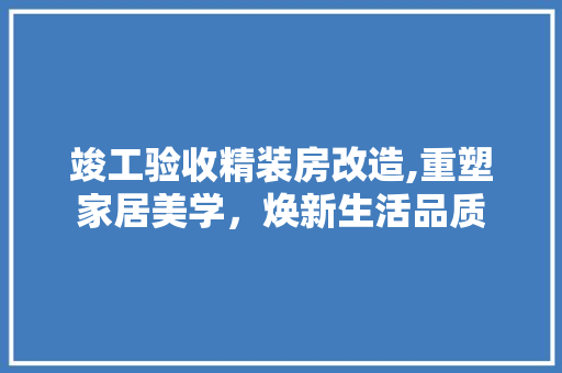 竣工验收精装房改造,重塑家居美学，焕新生活品质