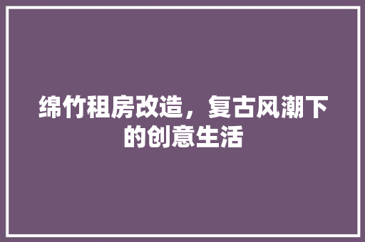 绵竹租房改造，复古风潮下的创意生活