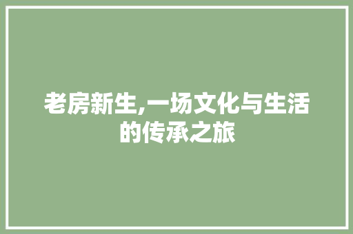 老房新生,一场文化与生活的传承之旅