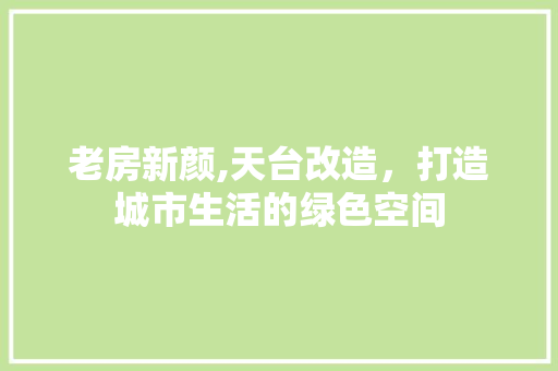 老房新颜,天台改造，打造城市生活的绿色空间
