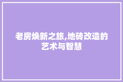 老房焕新之旅,地砖改造的艺术与智慧
