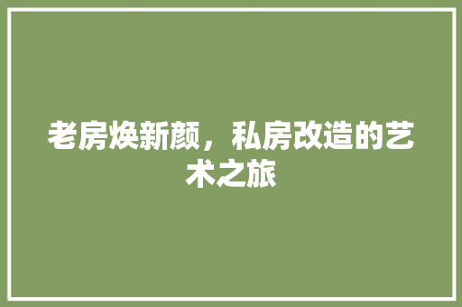 老房焕新颜，私房改造的艺术之旅