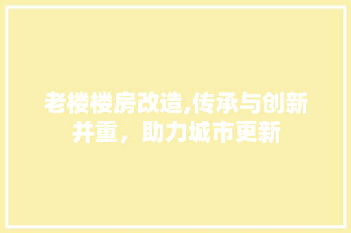 老楼楼房改造,传承与创新并重，助力城市更新