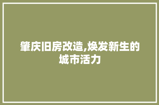 肇庆旧房改造,焕发新生的城市活力