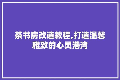茶书房改造教程,打造温馨雅致的心灵港湾