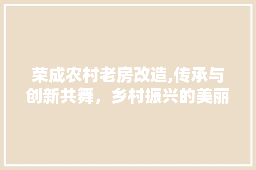 荣成农村老房改造,传承与创新共舞，乡村振兴的美丽画卷