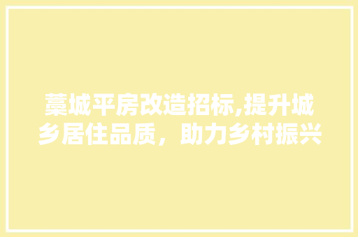 藁城平房改造招标,提升城乡居住品质，助力乡村振兴
