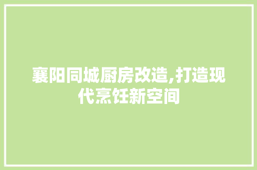 襄阳同城厨房改造,打造现代烹饪新空间