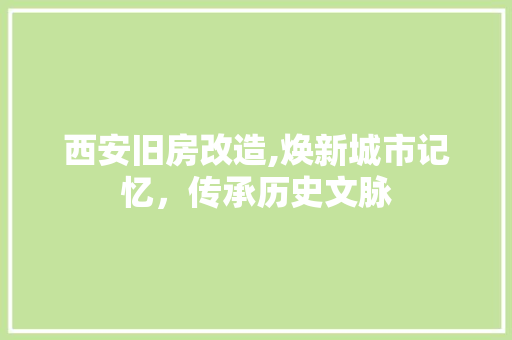 西安旧房改造,焕新城市记忆，传承历史文脉
