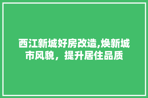 西江新城好房改造,焕新城市风貌，提升居住品质