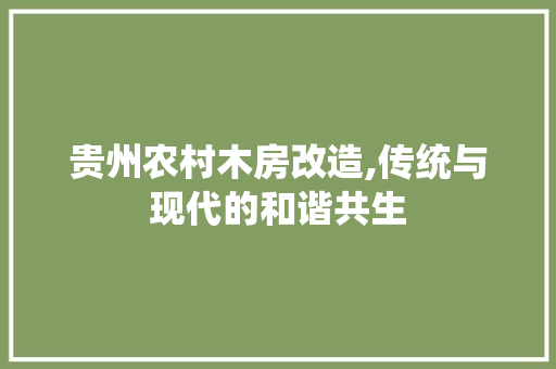贵州农村木房改造,传统与现代的和谐共生