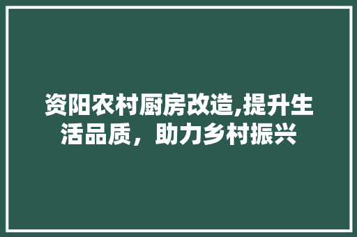 资阳农村厨房改造,提升生活品质，助力乡村振兴