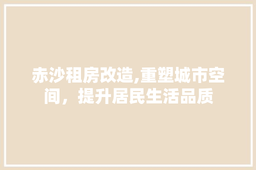 赤沙租房改造,重塑城市空间，提升居民生活品质