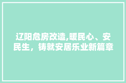 辽阳危房改造,暖民心、安民生，铸就安居乐业新篇章