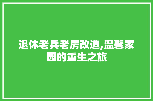 退休老兵老房改造,温馨家园的重生之旅