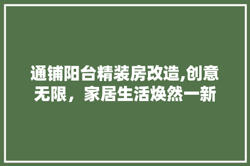 通铺阳台精装房改造,创意无限，家居生活焕然一新