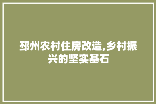 邳州农村住房改造,乡村振兴的坚实基石