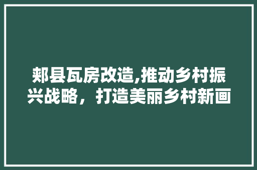 郏县瓦房改造,推动乡村振兴战略，打造美丽乡村新画卷