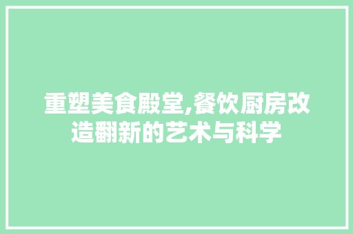 重塑美食殿堂,餐饮厨房改造翻新的艺术与科学